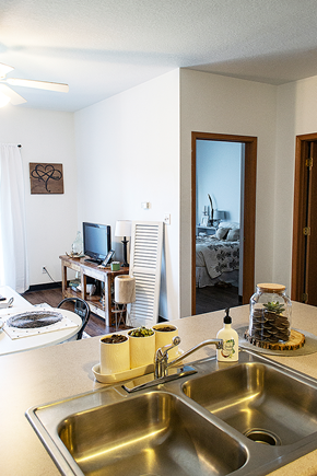 Ames apartment for rent - a view of a living room and a kitchen with a sink