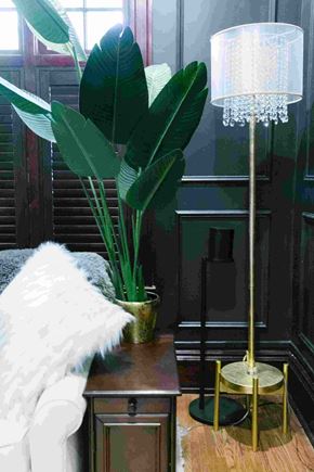 Salt Lake City apartment for rent - a bedroom with a plant and a lamp