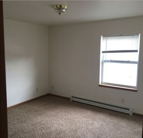 Kronenwetter apartment for rent - A room with a carpeted floor, a window with blinds, and a ceiling light fixture.