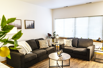 Ames apartment for rent - a living room with two couches and a coffee table