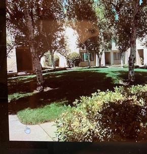 Mountain View house for rent - A tree-lined pathway leads to a building.