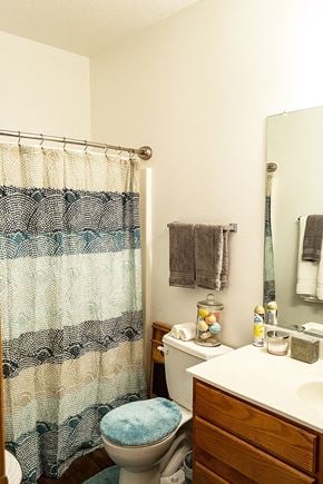 Ames apartment for rent - a bathroom with a shower curtain and a toilet and a sink