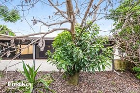 Orlando house for rent - A tree with green leaves stands in front of a building.