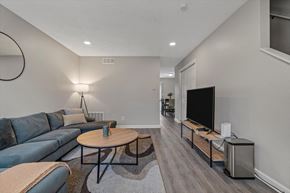 College Park apartment for rent - a living room with a couch and a tv