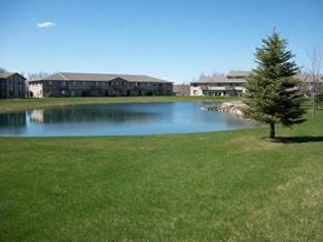 Pulaski apartment for rent - a tree in the grass next to a pond