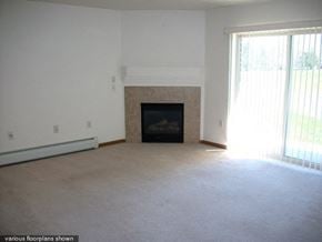 Pulaski apartment for rent - an empty living room with a fireplace and a window