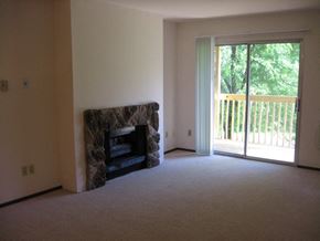 South Milwaukee apartment for rent - a living room with a fireplace and a sliding glass door