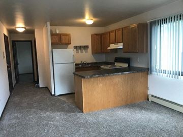 St Francis apartment for rent - an empty kitchen with a refrigerator and a sink