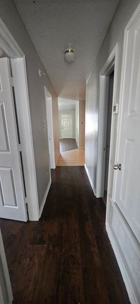 Copperas Cove apartment for rent - A long hallway with white doors on both sides.