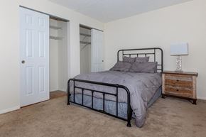 Ithaca apartment for rent - a bedroom with a bed and a closet
