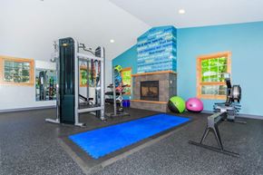 Ithaca apartment for rent - a gym with a pool and weights and a fireplace
