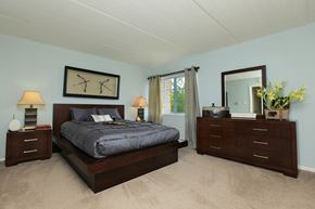 Ithaca apartment for rent - a bedroom with a bed and dressers in it