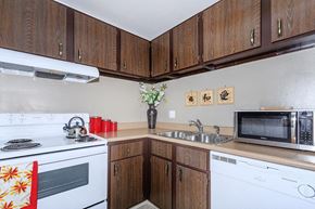 Ithaca apartment for rent - a kitchen with a stove microwave and sink