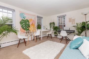 Ithaca apartment for rent - a living room with a desk and a couch     and plants