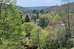 Oneonta apartment for rent - a view of a town from a tree covered hillside