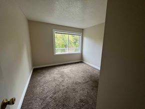 Kelso house for rent - an empty bedroom with a window and carpet