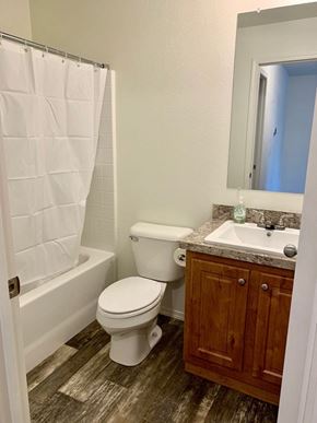 Kelso house for rent - a bathroom with a toilet and a sink