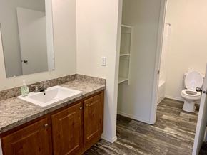 Kelso house for rent - a bathroom with a sink and a toilet and a mirror