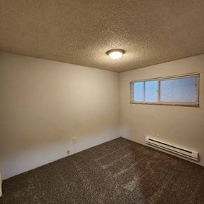 Longview apartment for rent - an empty room with a window and a carpet