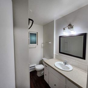 Longview apartment for rent - a bathroom with a sink and a toilet and a mirror