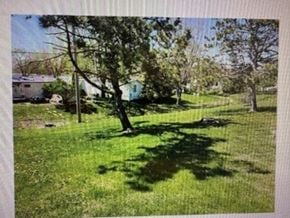 Rochester apartment for rent - A tree in a grassy field with a house in the background.