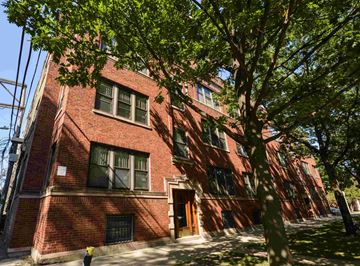 Chicago apartment for rent - a red brick building with a tree in front of it