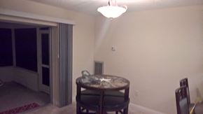 Palmetto house for rent - a dining room with a table and a light