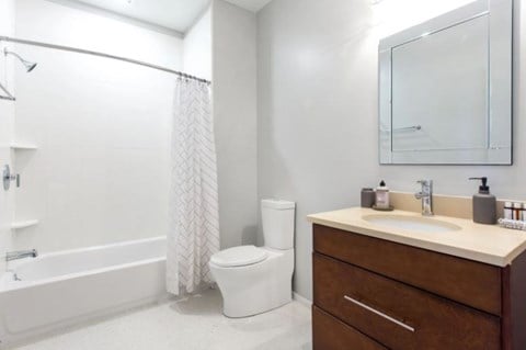 Floor plan for studio, 1 bath, 594 sqft