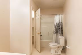 Brandon apartment for rent - a bathroom with a toilet and a shower with a shower curtain