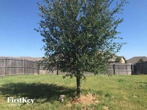 Weatherford house for rent - A tree in a grassy field with a fence in the background.