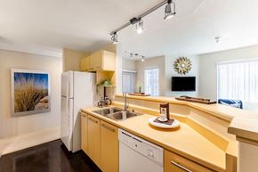 Phoenix apartment for rent - a kitchen with a sink and a refrigerator