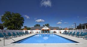 Madison Heights apartment for rent - A large swimming pool surrounded by lounge chairs and umbrellas.