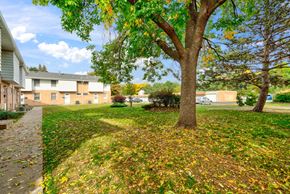 Brooklyn Center apartment for rent - a yard with a tree and a sidewalk in front of a building