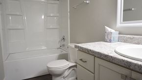 Willowbrook apartment for rent - a bathroom with a sink toilet and a shower