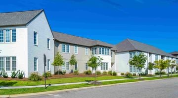 Montgomery apartment for rent - A row of houses with white exteriors and green trees in front.