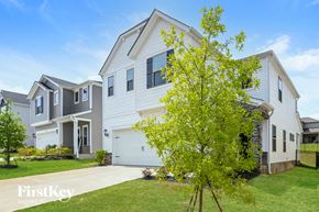 Charlotte house for rent - a white house with a tree in front of it
