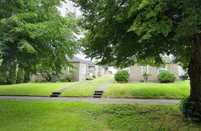 Longview apartment for rent - A tree is in front of a house.