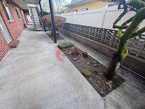 Longview apartment for rent - A concrete patio with a tree and a white fence in the background.