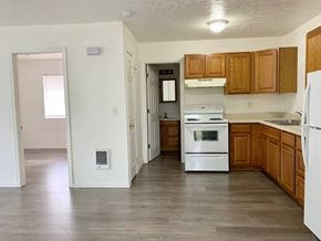 Castle Rock apartment for rent - A kitchen with white appliances and wooden cabinets.