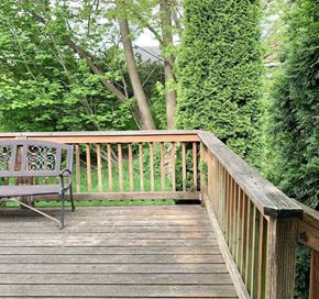 Castle Rock apartment for rent - A wooden deck with a bench and trees in the background.