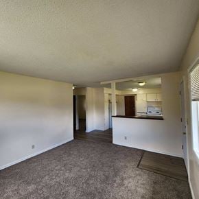 Kelso house for rent - A spacious room with a carpeted floor and a reception desk.