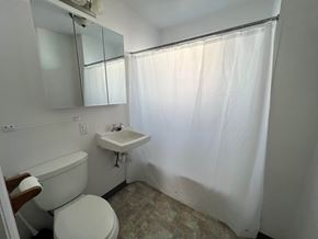Kelso house for rent - a bathroom with a toilet and a sink and a shower curtain