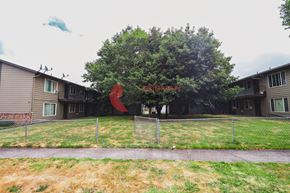 Longview apartment for rent - A tree in front of a building with a red sign that says "BRODMAN".