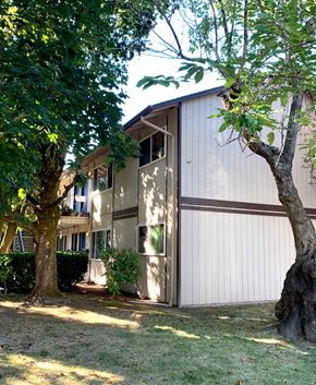 Longview apartment for rent - A tree is in front of a two-story building.
