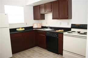 St. Louis apartment for rent - a kitchen with a stove refrigerator and a sink