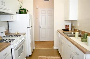 St. Louis apartment for rent - a kitchen with a stove refrigerator and a sink