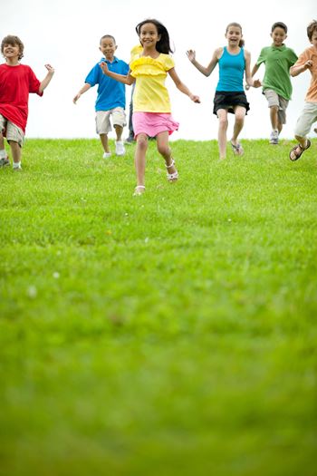 Playground amenity