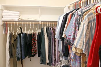 Spacious closet amenity