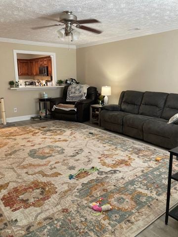 Smyrna apartment for rent - A living room with a black couch and a rug with a floral pattern.