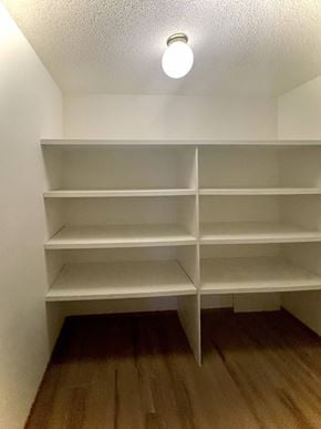 Edmonton apartment for rent - a walk in closet with white shelves and a ceiling light
